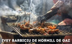 ivey barbiciu de hornill de gaz