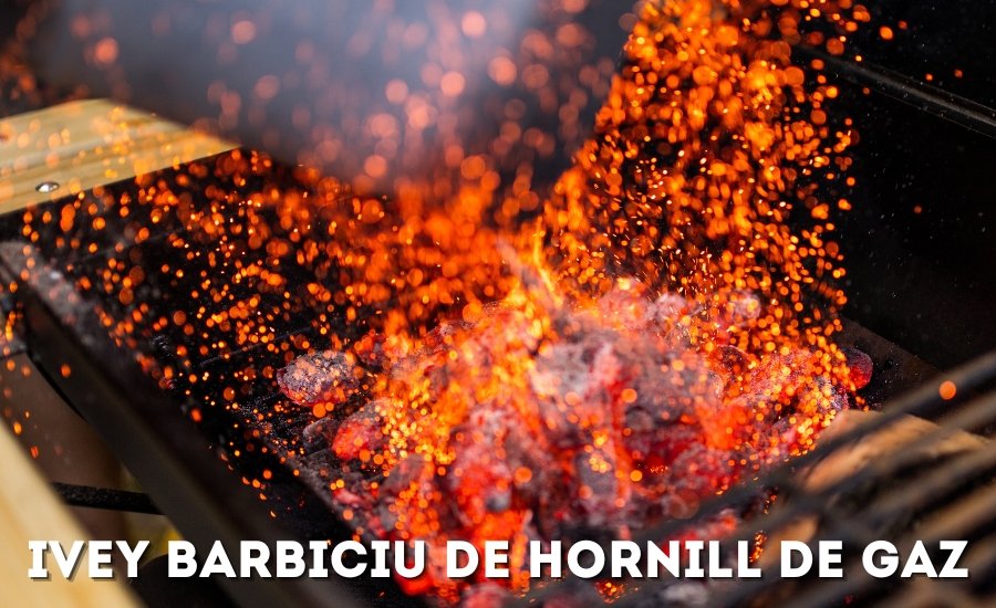 ivey barbiciu de hornill de gaz