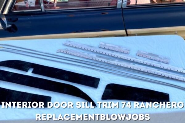 interior door sill trim 74 ranchero replacementblowjobs