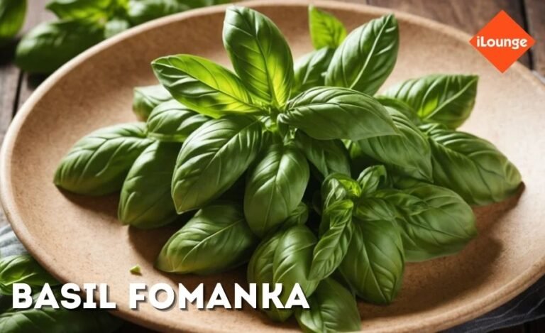basil fomanka