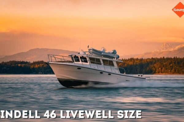 lindell 46 livewell size